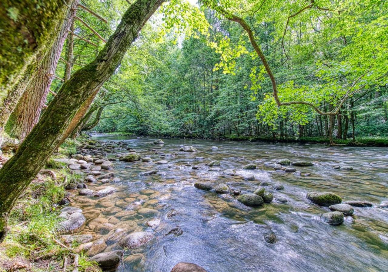 The Grand Orchard Lodge - Gatlinburg, Tn Eksteriør bilde